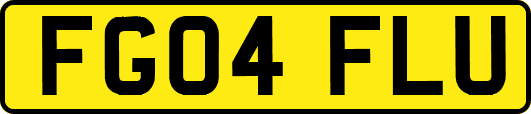 FG04FLU