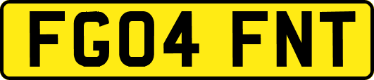 FG04FNT