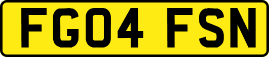 FG04FSN