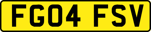 FG04FSV