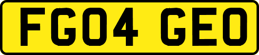 FG04GEO