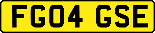 FG04GSE