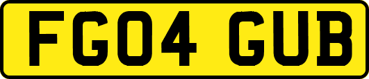 FG04GUB