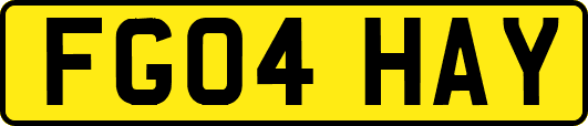 FG04HAY