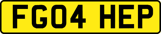 FG04HEP