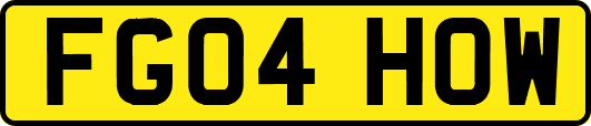 FG04HOW