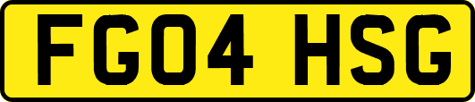 FG04HSG