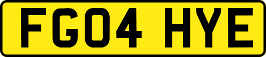 FG04HYE