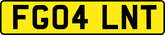 FG04LNT
