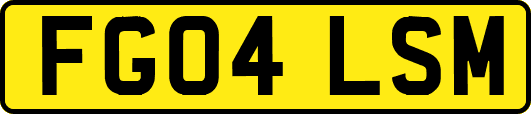 FG04LSM