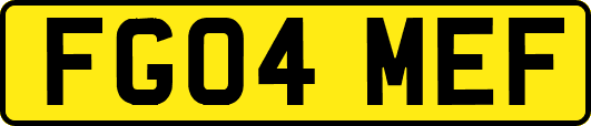 FG04MEF