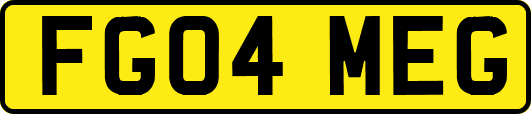 FG04MEG