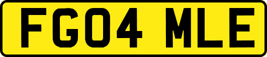 FG04MLE