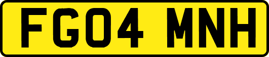 FG04MNH
