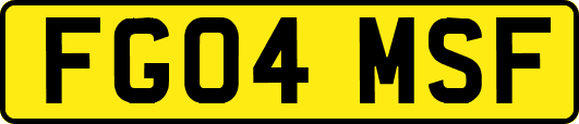 FG04MSF