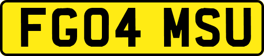 FG04MSU