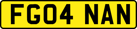 FG04NAN