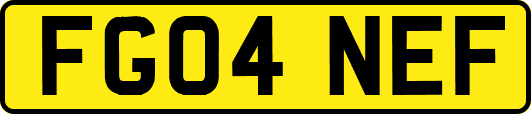 FG04NEF