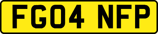 FG04NFP