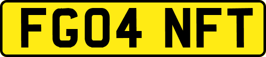 FG04NFT
