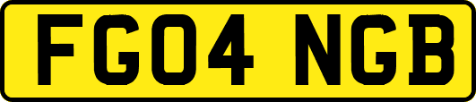FG04NGB
