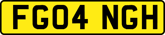FG04NGH