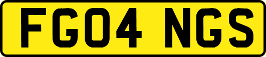 FG04NGS