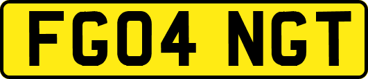 FG04NGT