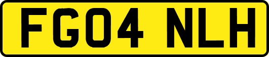 FG04NLH