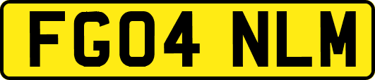 FG04NLM