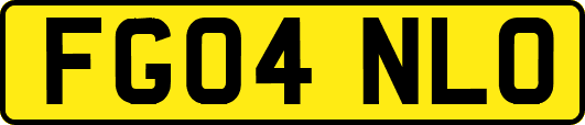 FG04NLO