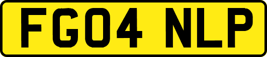 FG04NLP