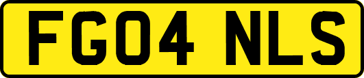 FG04NLS