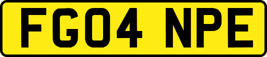 FG04NPE