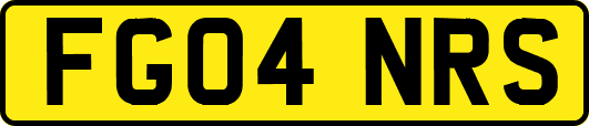 FG04NRS