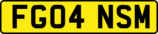 FG04NSM