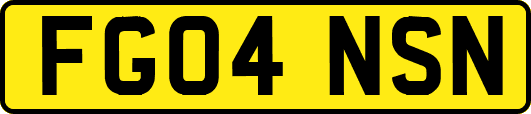 FG04NSN