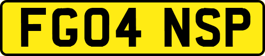 FG04NSP