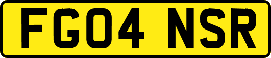 FG04NSR