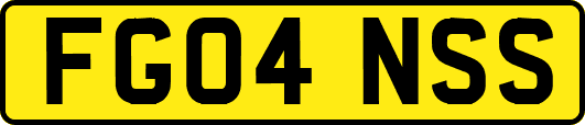 FG04NSS
