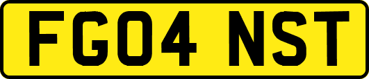FG04NST