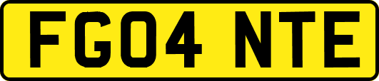 FG04NTE