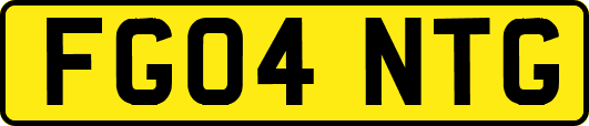 FG04NTG
