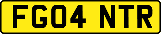 FG04NTR