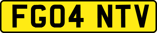 FG04NTV