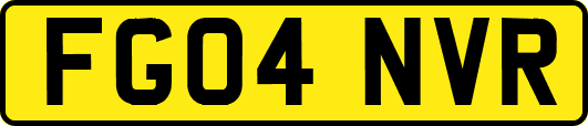 FG04NVR