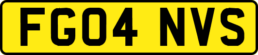 FG04NVS