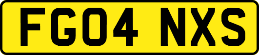 FG04NXS