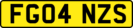 FG04NZS
