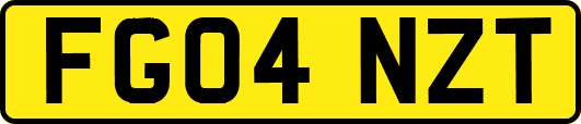 FG04NZT